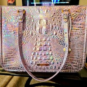 Brahmin Ashlee